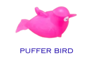 Puffer- Bird